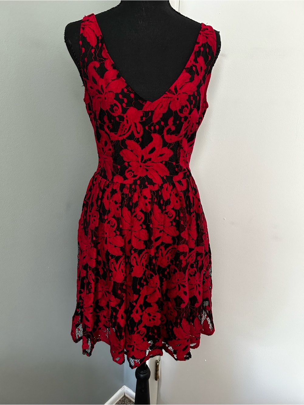 NWT BB Dakota Red Lace Fit & Flare Dress
